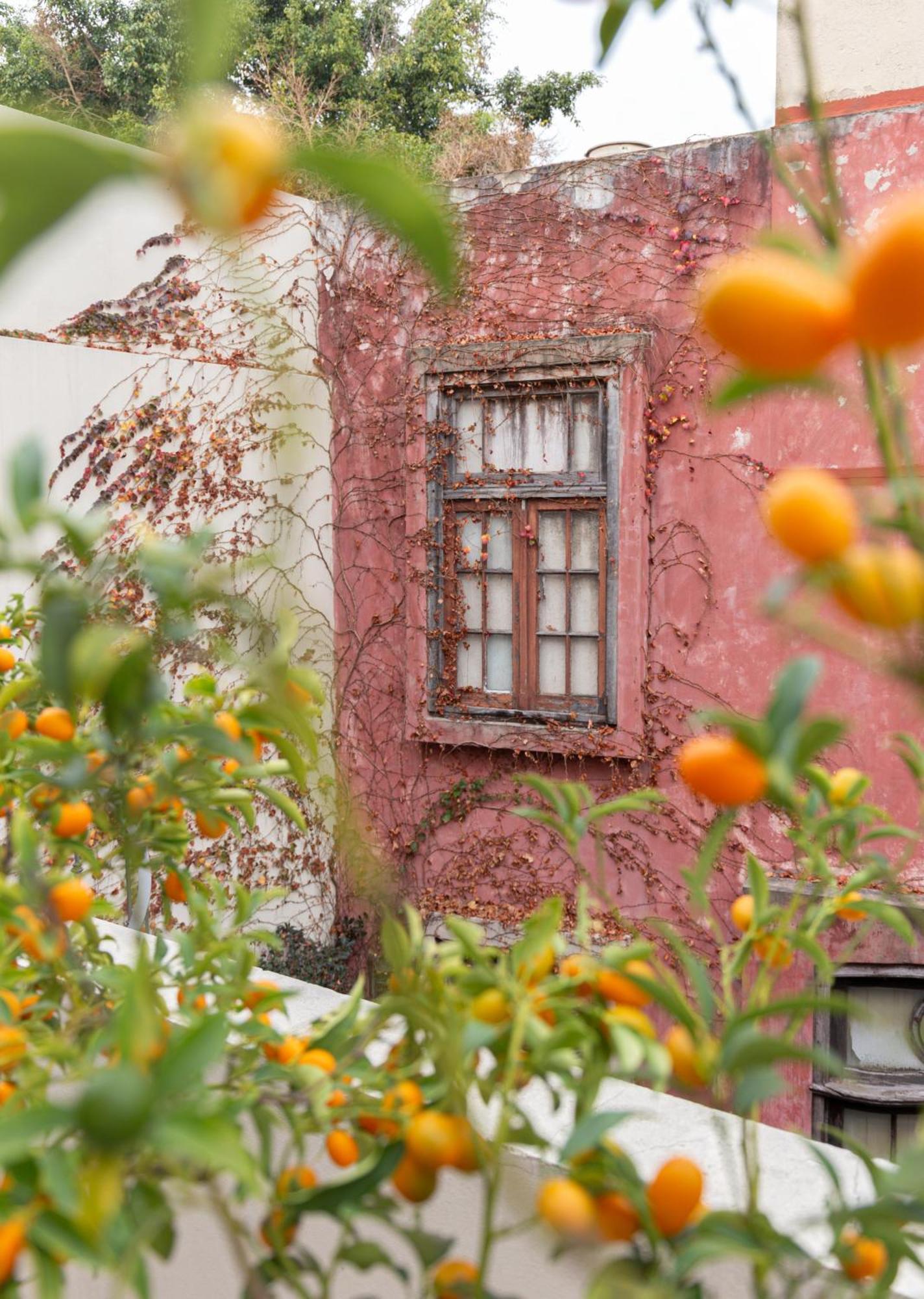 Casa Chic Palermo Soho Hotel Buenos Aires Exterior foto